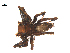  ( - BIOUG38875-A01)  @11 [ ] CreativeCommons - Attribution (2019) Unspecified Centre for Biodiversity Genomics