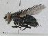  ( - CBG-A00364-F02)  @11 [ ] CreativeCommons - Attribution (2023) CBG Photography Group Centre for Biodiversity Genomics