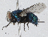  ( - CBG-A02899-E07)  @11 [ ] CreativeCommons - Attribution (2023) CBG Photography Group Centre for Biodiversity Genomics