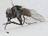  ( - CBG-A02899-F04)  @11 [ ] CreativeCommons - Attribution (2023) CBG Photography Group Centre for Biodiversity Genomics