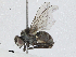  ( - CBG-A02899-F06)  @11 [ ] CreativeCommons - Attribution (2023) CBG Photography Group Centre for Biodiversity Genomics