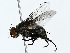  ( - BIOUG73638-A12)  @11 [ ] CreativeCommons - Attribution (2022) CBG Photography Group Centre for Biodiversity Genomics
