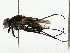  ( - BIOUG73639-A02)  @11 [ ] CreativeCommons - Attribution (2022) CBG Photography Group Centre for Biodiversity Genomics
