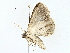  ( - BIOUG73639-A07)  @11 [ ] CreativeCommons - Attribution (2022) CBG Photography Group Centre for Biodiversity Genomics