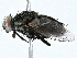  ( - BIOUG99478-E11)  @11 [ ] CreativeCommons - Attribution (2023) CBG Photography Group Centre for Biodiversity Genomics
