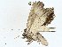  ( - BIOUG99478-F05)  @11 [ ] CreativeCommons - Attribution (2023) CBG Photography Group Centre for Biodiversity Genomics