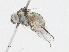  ( - CBG-A02880-D02)  @11 [ ] CreativeCommons - Attribution (2023) CBG Photography Group Centre for Biodiversity Genomics