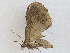  ( - CBG-A02911-B03)  @11 [ ] CreativeCommons - Attribution (2023) CBG Photography Group Centre for Biodiversity Genomics