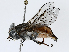  ( - CBG-A04451-D11)  @11 [ ] CreativeCommons - Attribution (2023) CBG Photography Group Centre for Biodiversity Genomics