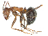  ( - CBG-A05389-G10)  @11 [ ] CreativeCommons - Attribution (2023) CBG Photography Group Centre for Biodiversity Genomics
