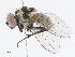  ( - CBG-A05396-D02)  @11 [ ] CreativeCommons - Attribution Share - Alike (2023) CBG Photography Group Centre for Biodiversity Genomics