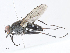  ( - CBG-A05396-E11)  @11 [ ] CreativeCommons - Attribution Share - Alike (2023) CBG Photography Group Centre for Biodiversity Genomics