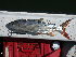  ( - RBMOZ186)  @12 [ ] CreativeCommons - Attribution Non-Commercial Share-Alike (2014) SAIAB SAIAB