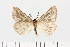  ( - HSS18001)  @11 [ ] Unspecified (default): All Rights Reserved  Unspecified Unspecified