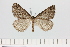  ( - HSS18003)  @11 [ ] Unspecified (default): All Rights Reserved  Unspecified Unspecified