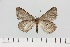  ( - HSS18003)  @11 [ ] Unspecified (default): All Rights Reserved  Unspecified Unspecified