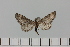  ( - HSS18004)  @11 [ ] Unspecified (default): All Rights Reserved  Unspecified Unspecified