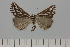  ( - HSS18005)  @11 [ ] Unspecified (default): All Rights Reserved  Unspecified Unspecified