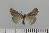  ( - HSS18005)  @11 [ ] Unspecified (default): All Rights Reserved  Unspecified Unspecified
