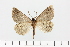  ( - HSS18010)  @11 [ ] Unspecified (default): All Rights Reserved  Unspecified Unspecified