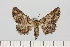  ( - HSS18015)  @11 [ ] Unspecified (default): All Rights Reserved  Unspecified Unspecified