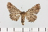  ( - HSS18015)  @11 [ ] Unspecified (default): All Rights Reserved  Unspecified Unspecified