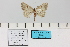  ( - HSS18018)  @11 [ ] Unspecified (default): All Rights Reserved  Unspecified Unspecified