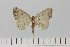  ( - HSS18018)  @11 [ ] Unspecified (default): All Rights Reserved  Unspecified Unspecified