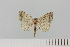  ( - HSS18018)  @11 [ ] Unspecified (default): All Rights Reserved  Unspecified Unspecified