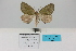  ( - HSS18027)  @11 [ ] Unspecified (default): All Rights Reserved  Unspecified Unspecified