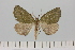  ( - HSS18027)  @11 [ ] Unspecified (default): All Rights Reserved  Unspecified Unspecified