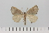  ( - HSS18027)  @11 [ ] Unspecified (default): All Rights Reserved  Unspecified Unspecified