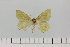  ( - HSS18031)  @11 [ ] Unspecified (default): All Rights Reserved  Unspecified Unspecified