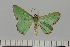  ( - HSS18041)  @11 [ ] Unspecified (default): All Rights Reserved  Unspecified Unspecified