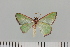  ( - HSS18041)  @11 [ ] Unspecified (default): All Rights Reserved  Unspecified Unspecified