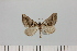  ( - HSS18043)  @11 [ ] Unspecified (default): All Rights Reserved  Unspecified Unspecified