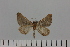  ( - HSS18043)  @11 [ ] Unspecified (default): All Rights Reserved  Unspecified Unspecified