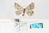  ( - HSS18047)  @11 [ ] Unspecified (default): All Rights Reserved  Unspecified Unspecified