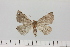  ( - HSS18047)  @11 [ ] Unspecified (default): All Rights Reserved  Unspecified Unspecified