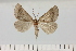  ( - HSS18050)  @11 [ ] Unspecified (default): All Rights Reserved  Unspecified Unspecified