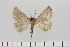  ( - HSS18050)  @11 [ ] Unspecified (default): All Rights Reserved  Unspecified Unspecified