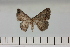  ( - HSS18051)  @11 [ ] Unspecified (default): All Rights Reserved  Unspecified Unspecified