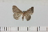  ( - HSS18051)  @11 [ ] Unspecified (default): All Rights Reserved  Unspecified Unspecified