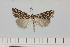  ( - HSS18056)  @11 [ ] Unspecified (default): All Rights Reserved  Unspecified Unspecified