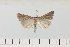  ( - HSS18056)  @11 [ ] Unspecified (default): All Rights Reserved  Unspecified Unspecified