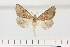 ( - HSS18060)  @11 [ ] Unspecified (default): All Rights Reserved  Unspecified Unspecified