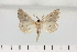  ( - HSS18060)  @11 [ ] Unspecified (default): All Rights Reserved  Unspecified Unspecified