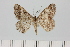  ( - HSS18063)  @11 [ ] Unspecified (default): All Rights Reserved  Unspecified Unspecified