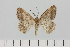  ( - HSS18063)  @11 [ ] Unspecified (default): All Rights Reserved  Unspecified Unspecified
