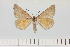  ( - HSS18064)  @11 [ ] Unspecified (default): All Rights Reserved  Unspecified Unspecified